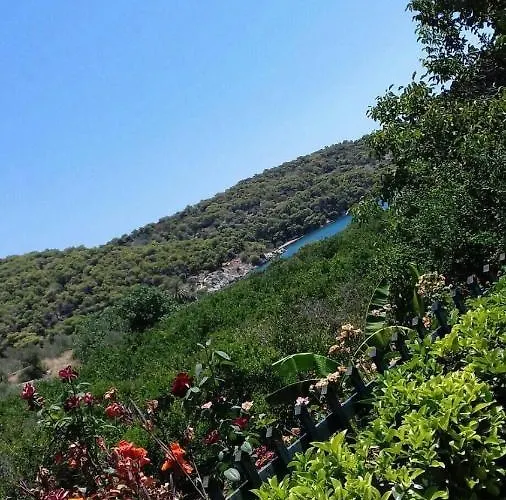 Marialena Epidaurus